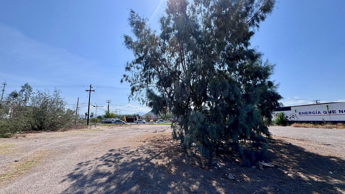 Lote em Chametla, La Paz, foto 26 de 40