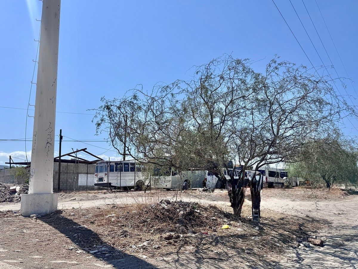 Lote em Chametla, La Paz, foto 33 de 40