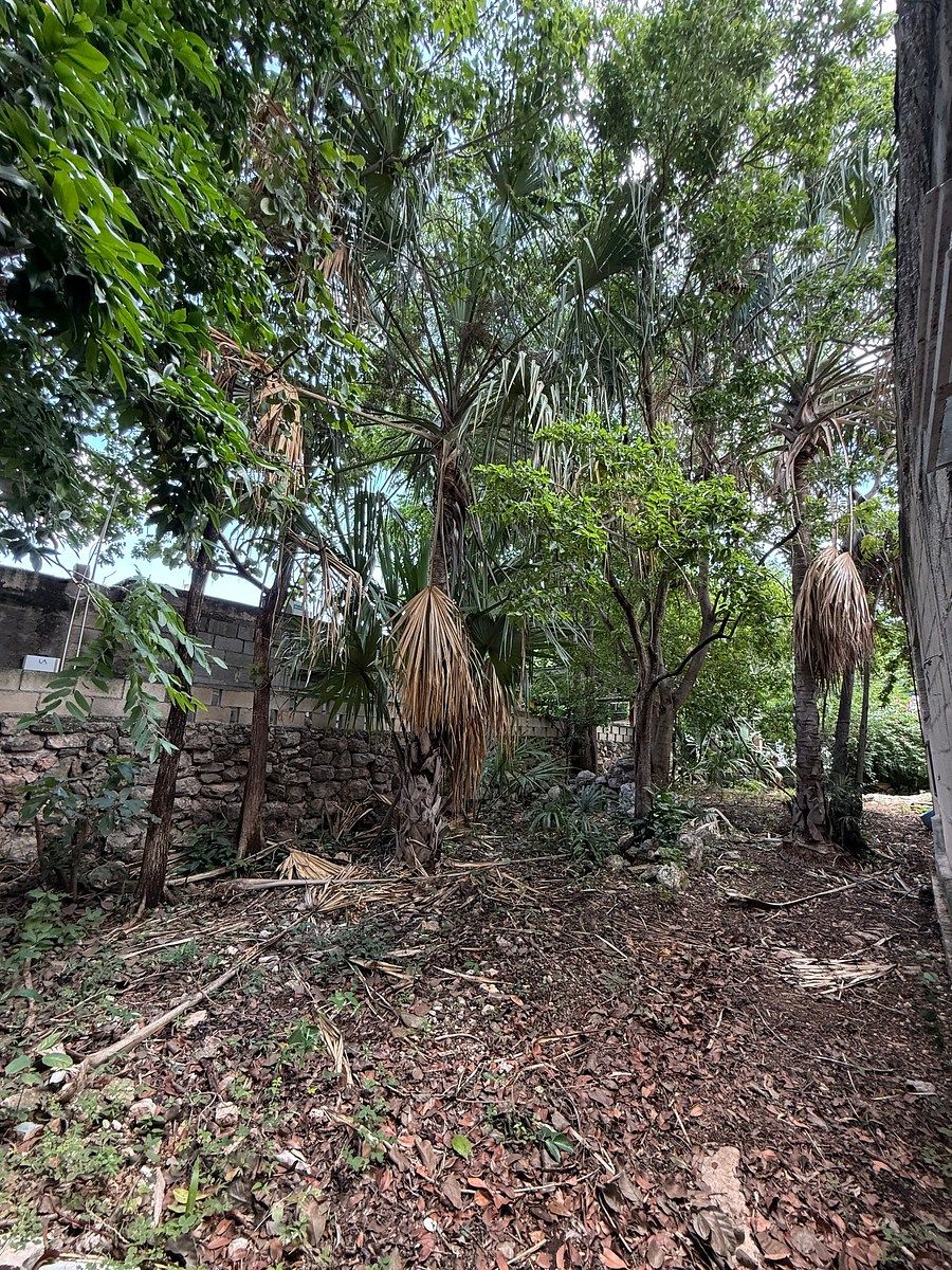 Casa en Chuburna de Hidalgo, Mérida, foto 10 de 21