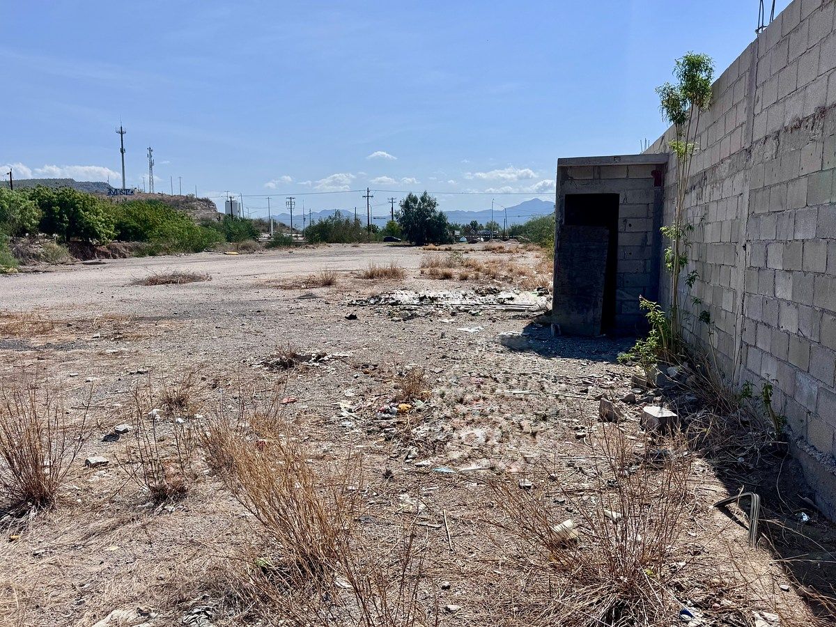 Lot in Chametla, La Paz, photo 5 of 41
