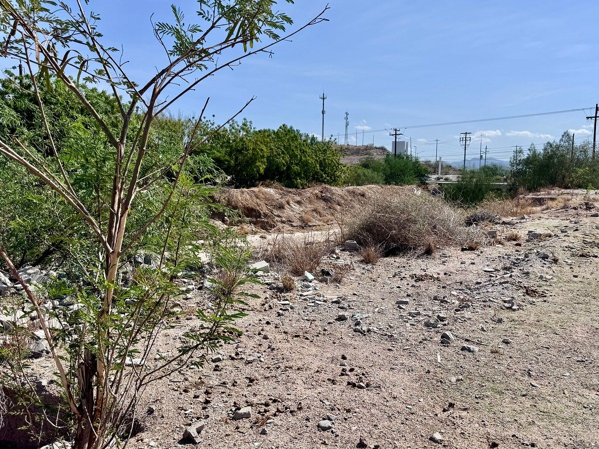 Lot in Chametla, La Paz, photo 12 of 41