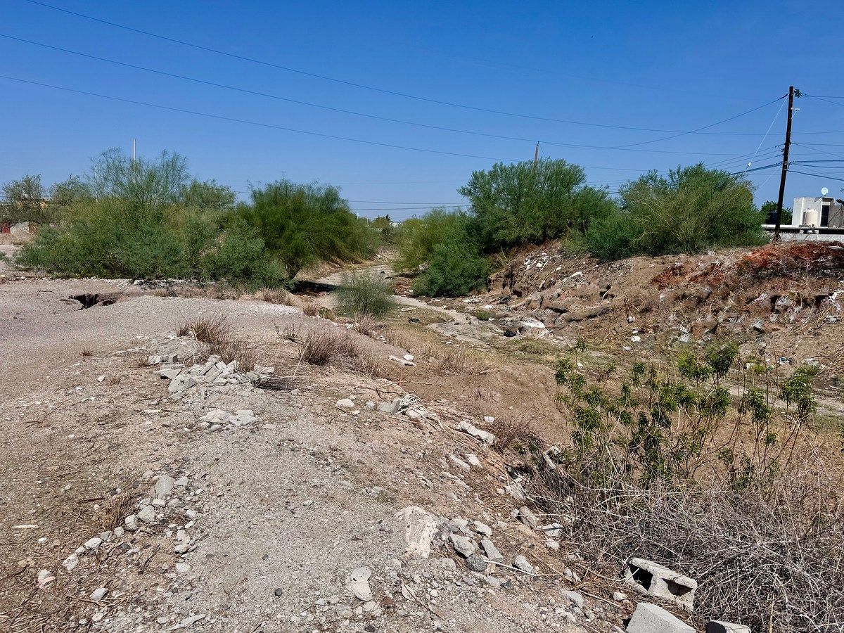 Lot in Chametla, La Paz, photo 14 of 41