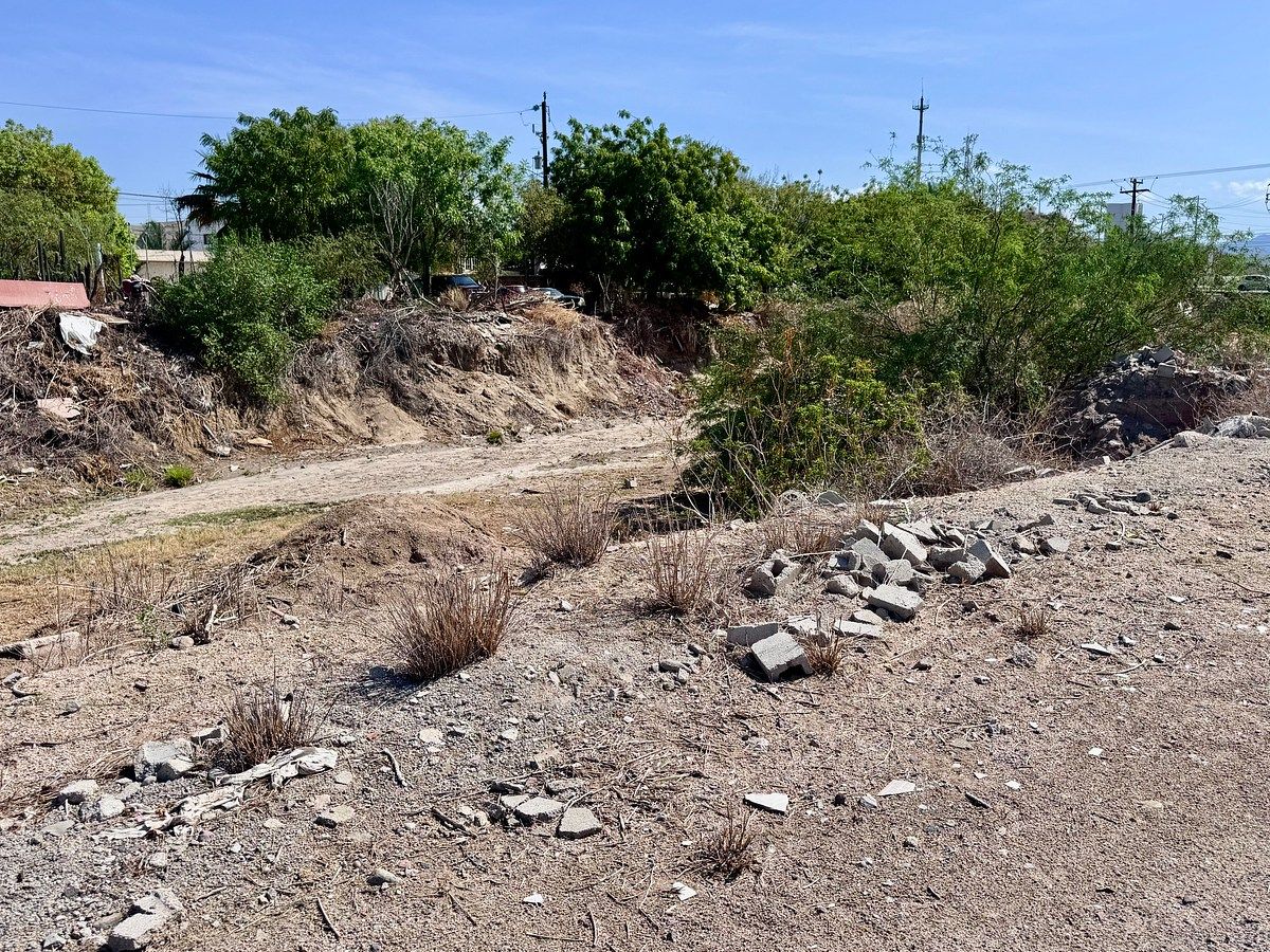 Lot in Chametla, La Paz, photo 15 of 41