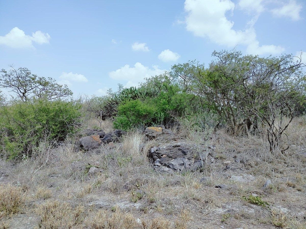 Lot in Amazcala, El Marqués, photo 2 of 12