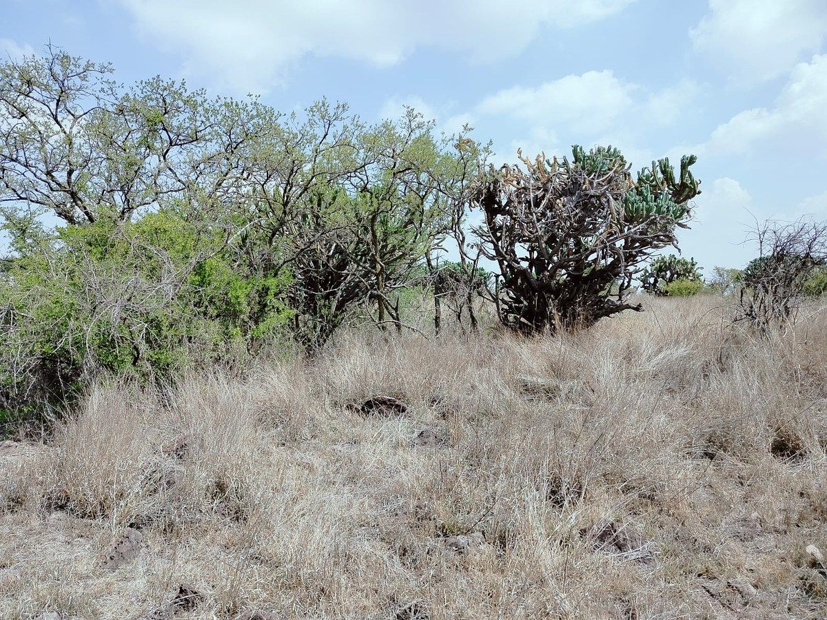 Lot in Amazcala, El Marqués, photo 4 of 12