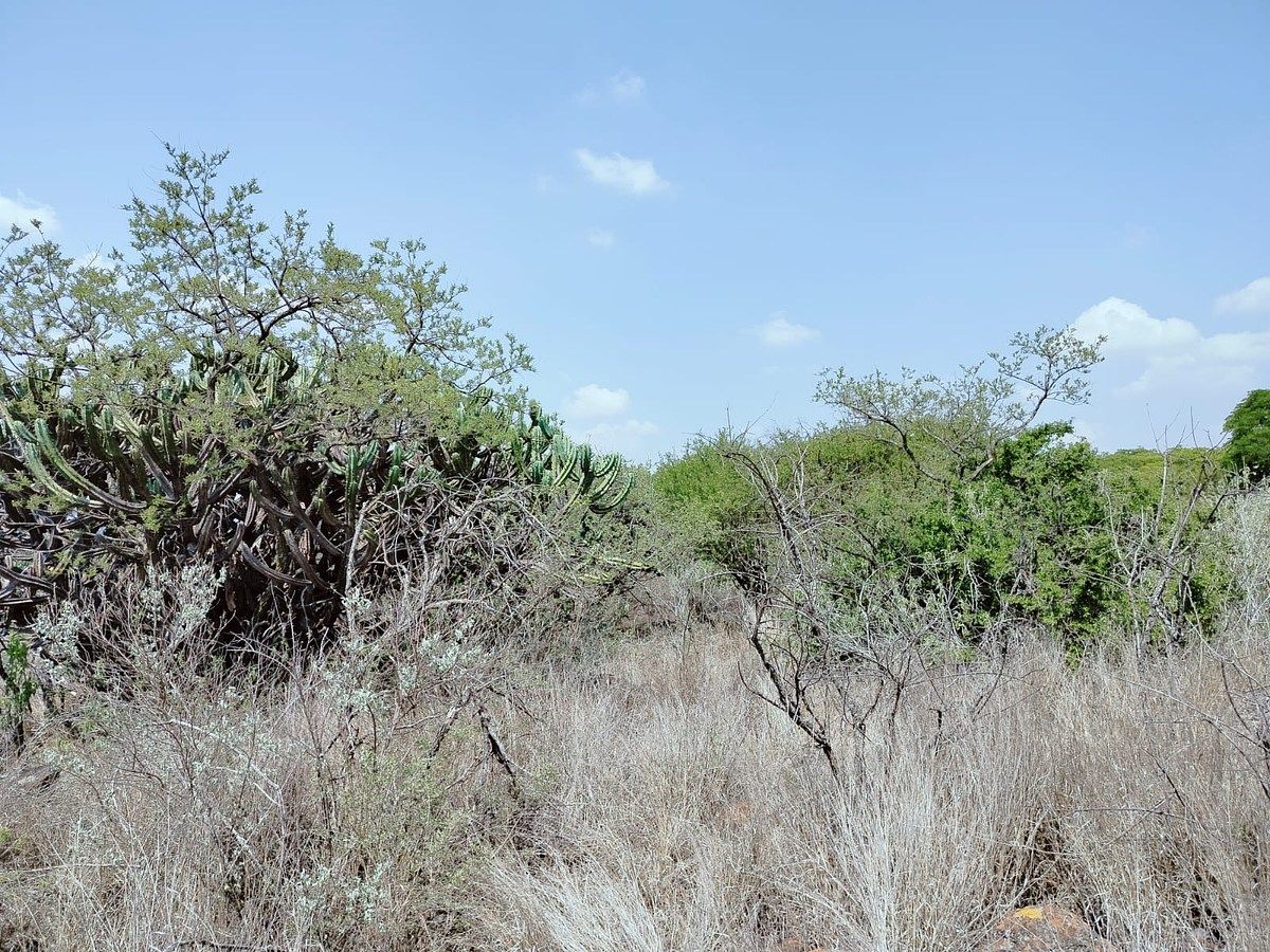 Lot in Amazcala, El Marqués, photo 5 of 12