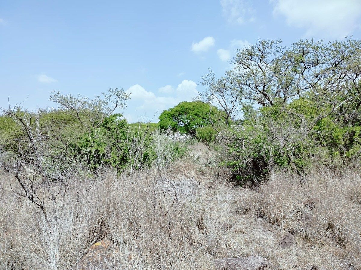 Lot in Amazcala, El Marqués, photo 6 of 12