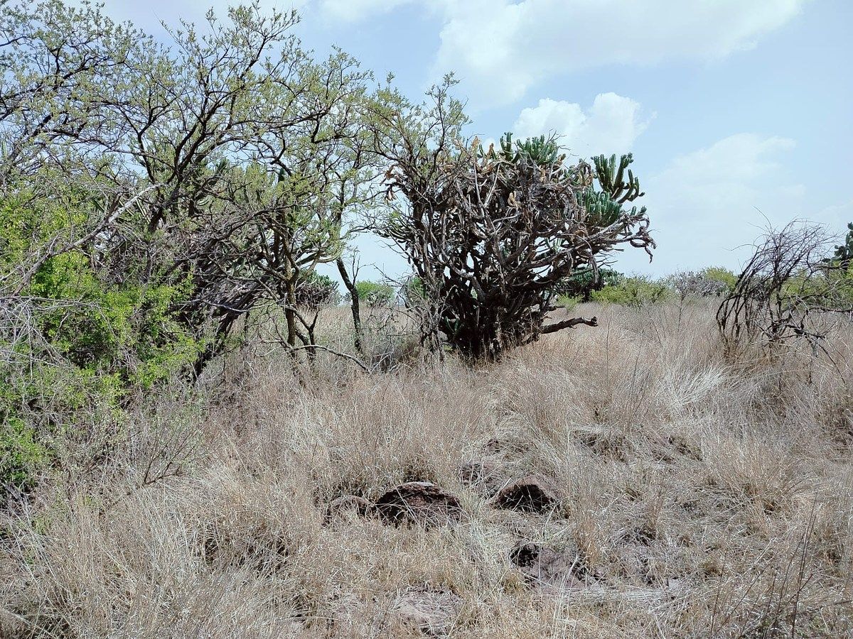 Lot in Amazcala, El Marqués, photo 7 of 12