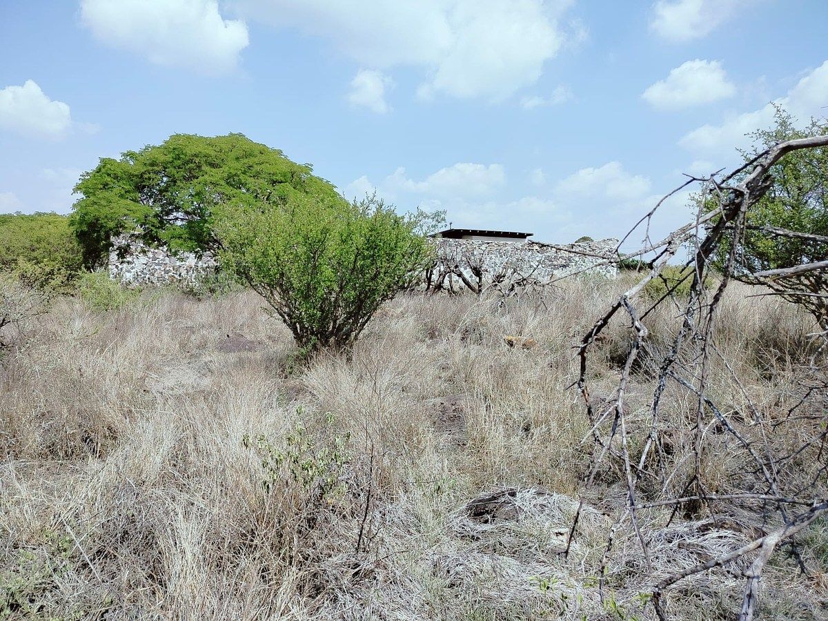 Lot in Amazcala, El Marqués, photo 9 of 12