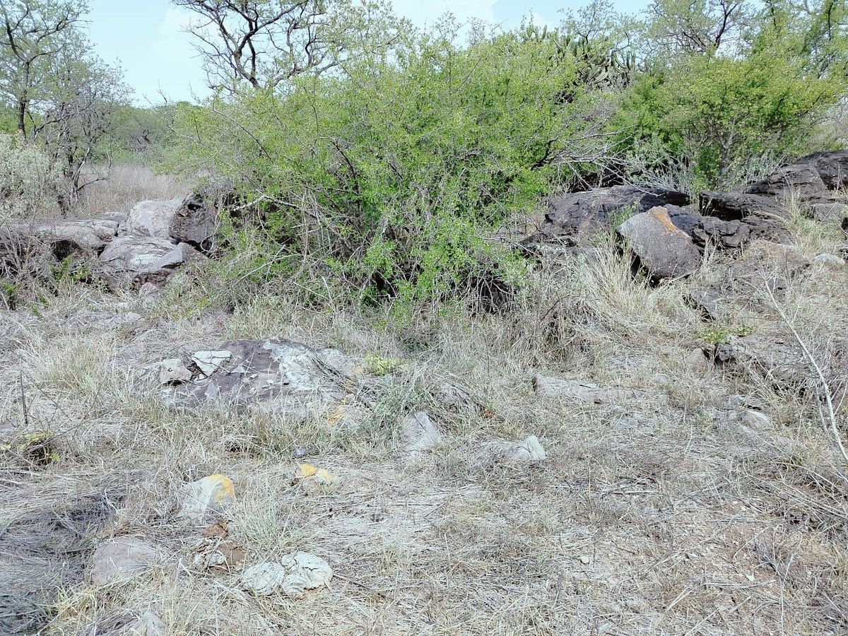 Lot in Amazcala, El Marqués, photo 10 of 12