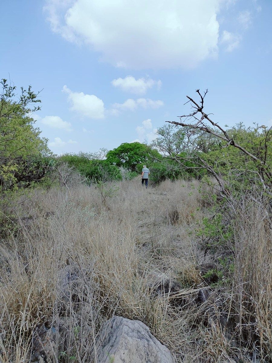 Lot in Amazcala, El Marqués, photo 11 of 12