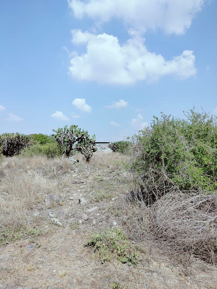 Lot in Amazcala, El Marqués, photo 12 of 12