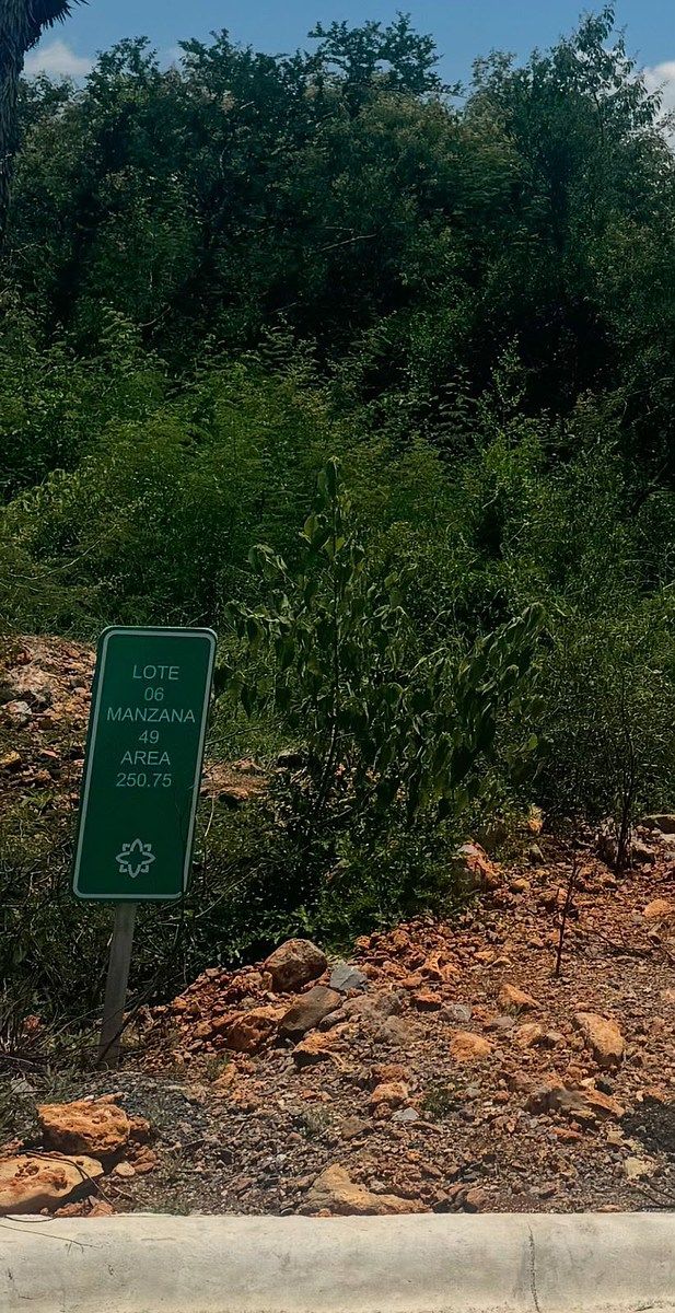 Terreno en El Yerbaniz, Santiago, foto 6 de 9