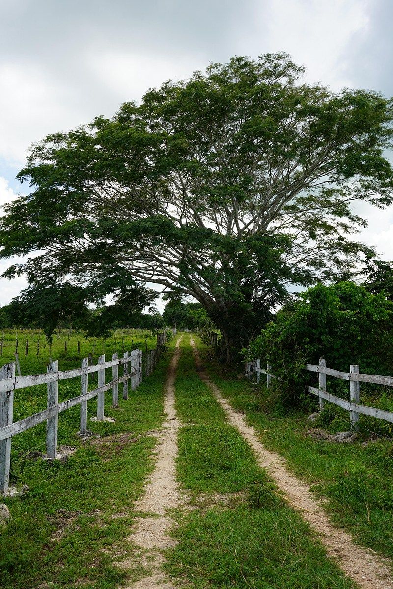 Fazenda em Buctzotz, Buctzotz, foto 4 de 16