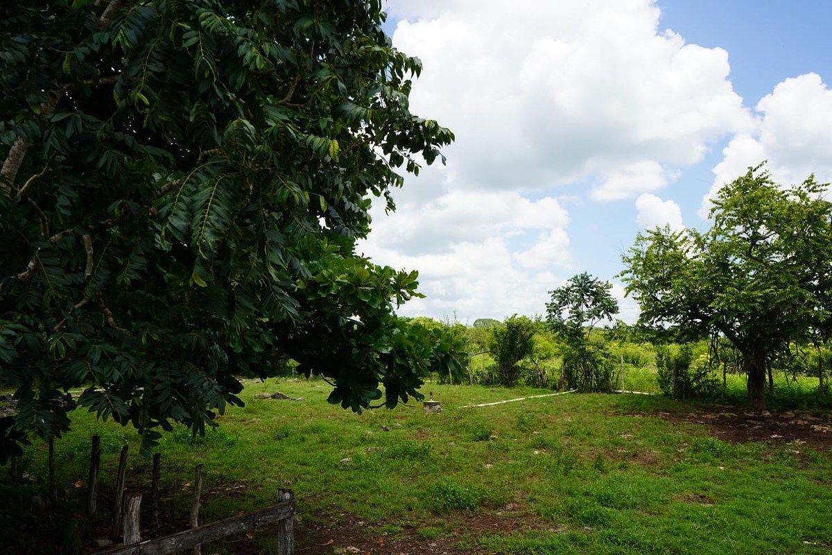 Fazenda em Buctzotz, Buctzotz, foto 5 de 16