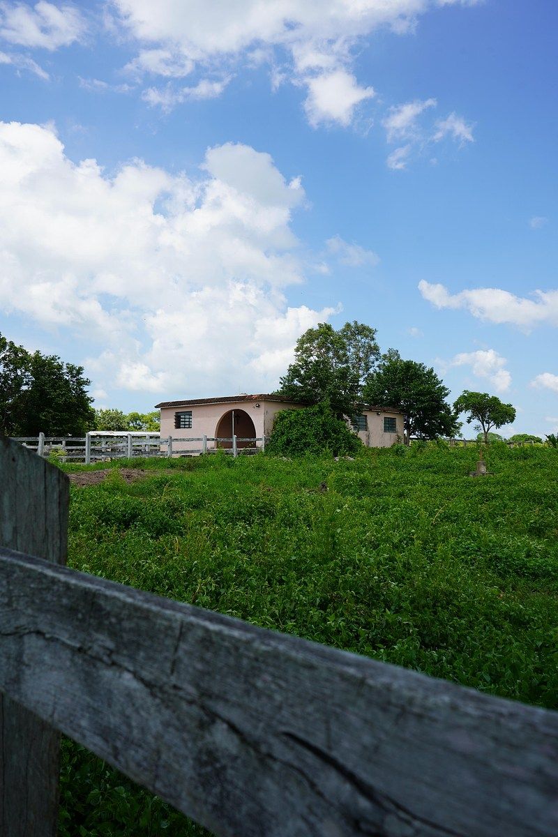 Fazenda em Buctzotz, Buctzotz, foto 11 de 16