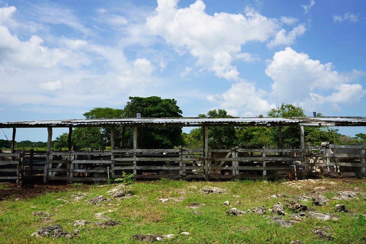Fazenda em Buctzotz, Buctzotz, foto 14 de 16