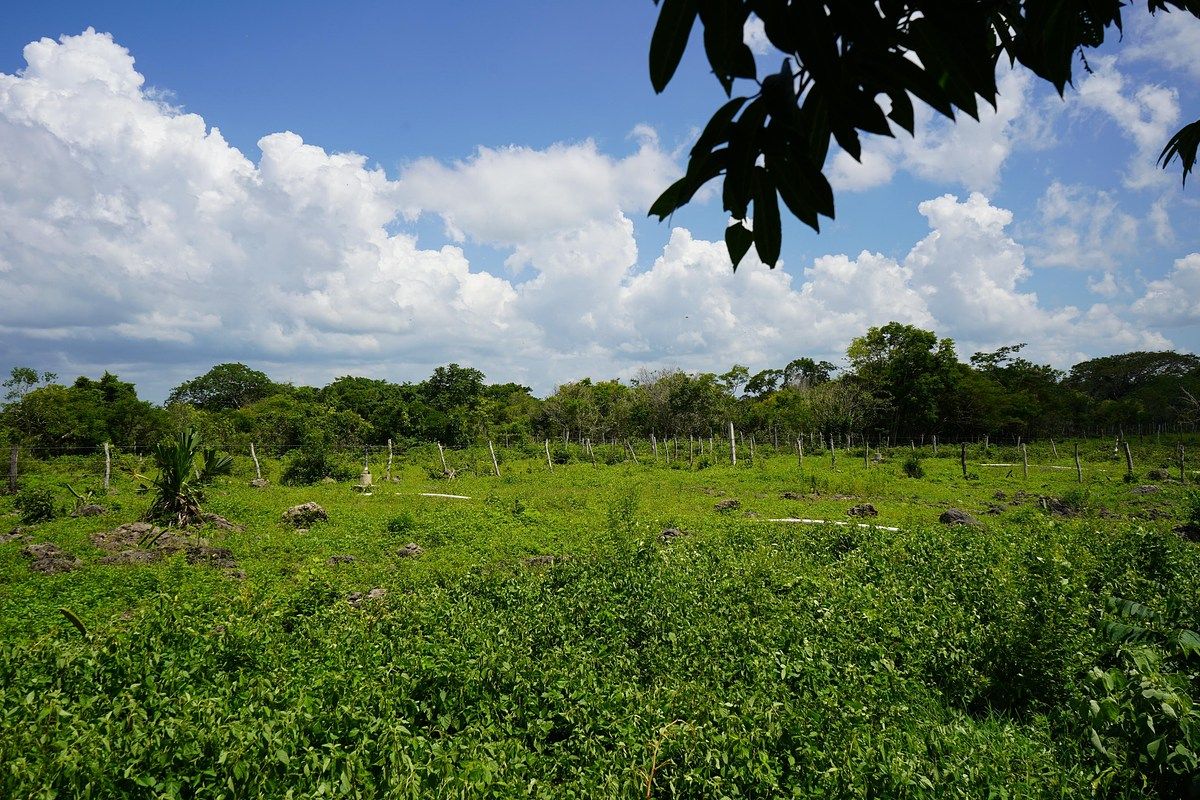 Fazenda em Buctzotz, Buctzotz, foto 15 de 16