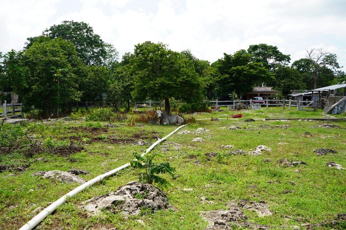 Fazenda em Buctzotz, Buctzotz, foto 16 de 16