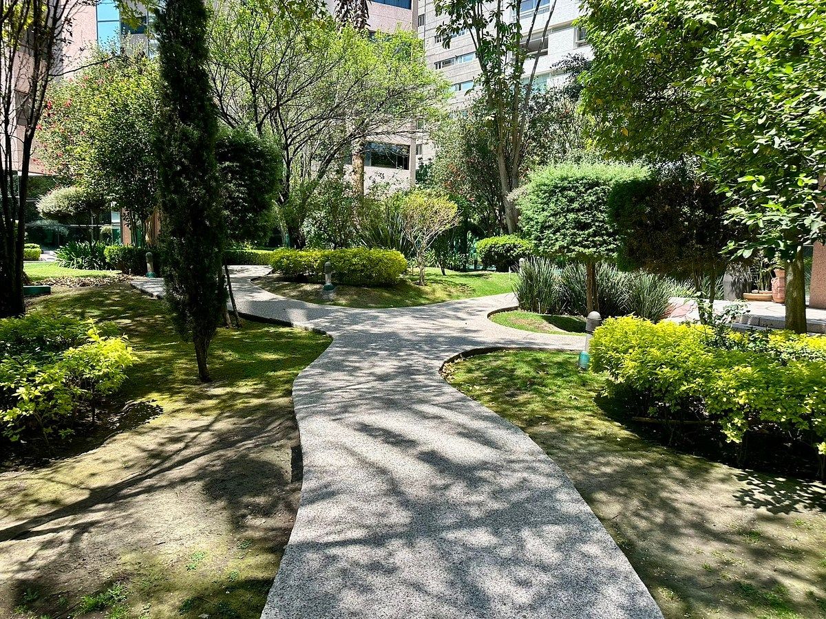 Apartamento em Lomas de Chapultepec I Sección, Miguel Hidalgo, foto 18 de 20