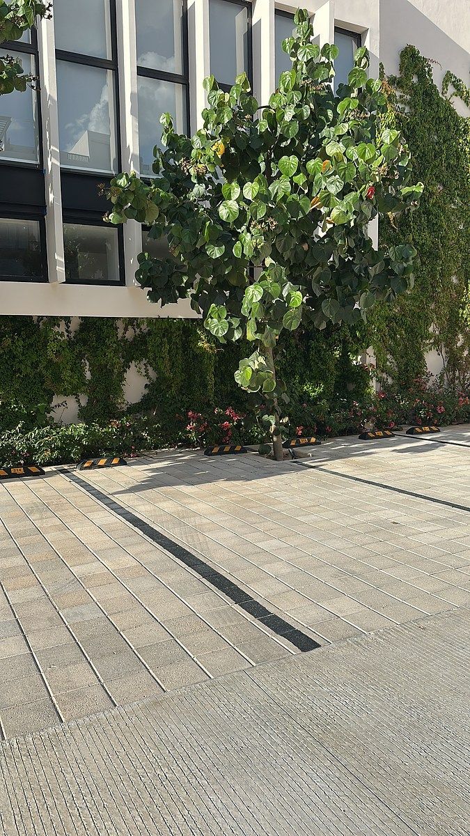 Departamento en Temozón Norte, Mérida, foto 25 de 35