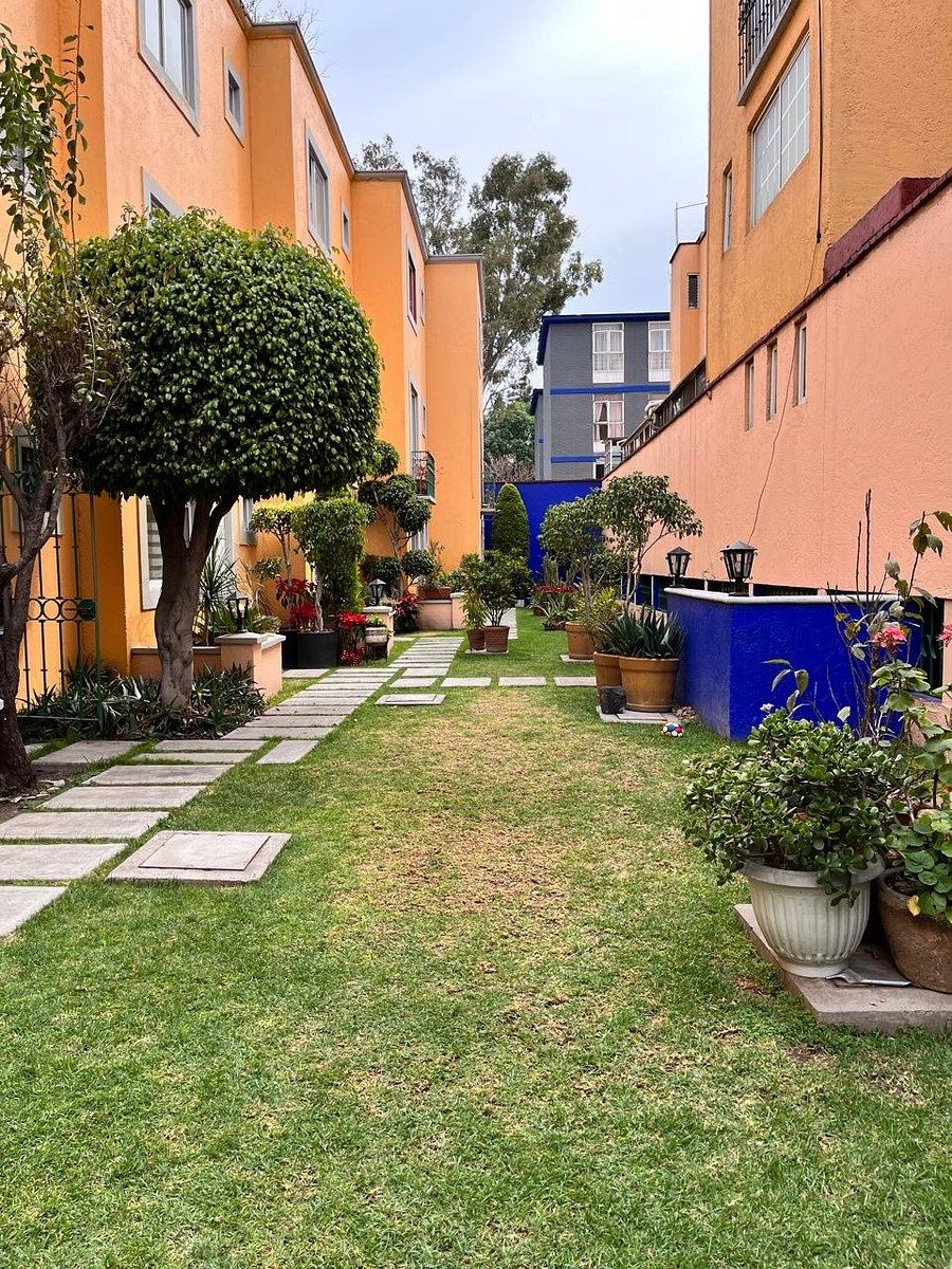 Jardín, photo 3 of 11