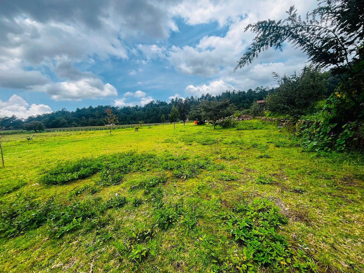 Terreno en Los Saúcos, Valle de Bravo, foto 4 de 6