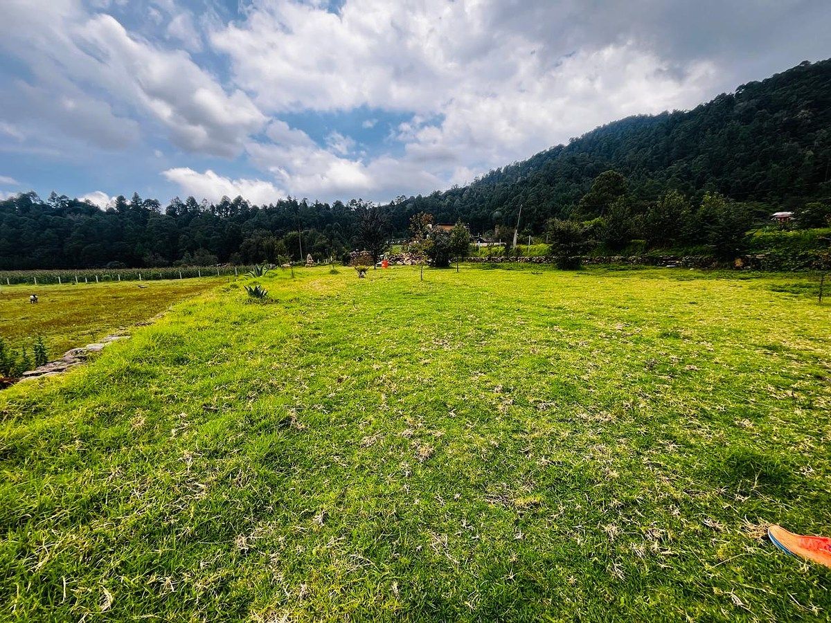 Terreno en Los Saúcos, Valle de Bravo, foto 5 de 6