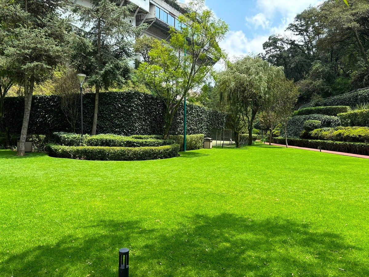 Departamento en Bosques de las Lomas, Cuajimalpa de Morelos, foto 13 de 21