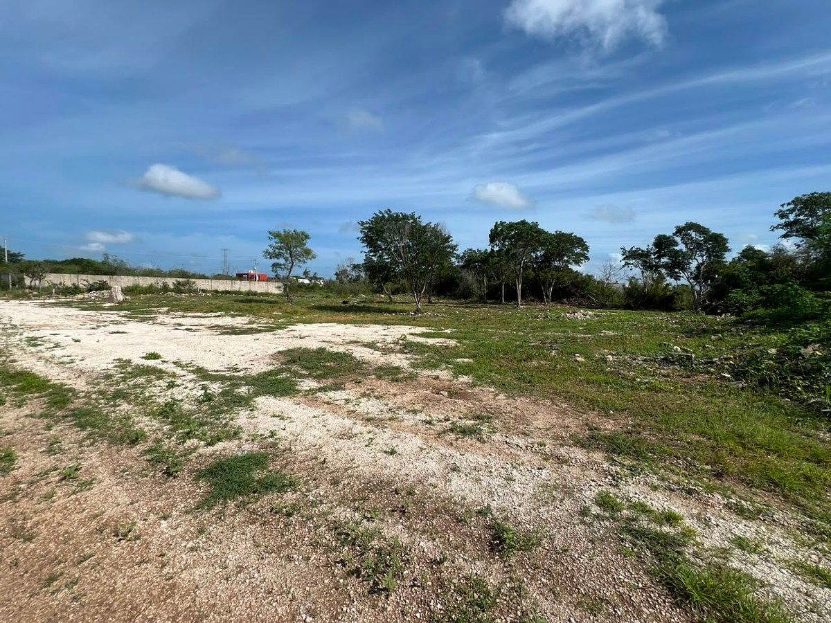Lote em Temozón Norte, Mérida, foto 2 de 5