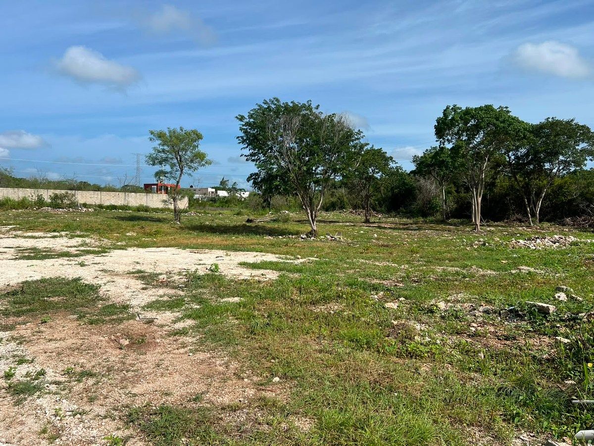 Lote em Temozón Norte, Mérida, foto 4 de 5