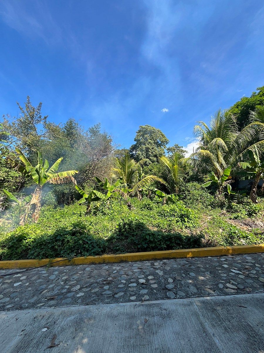 TERRENO EN VENTA COLONIA EL COCAL PIJIJIAPAN, foto 1 de 9