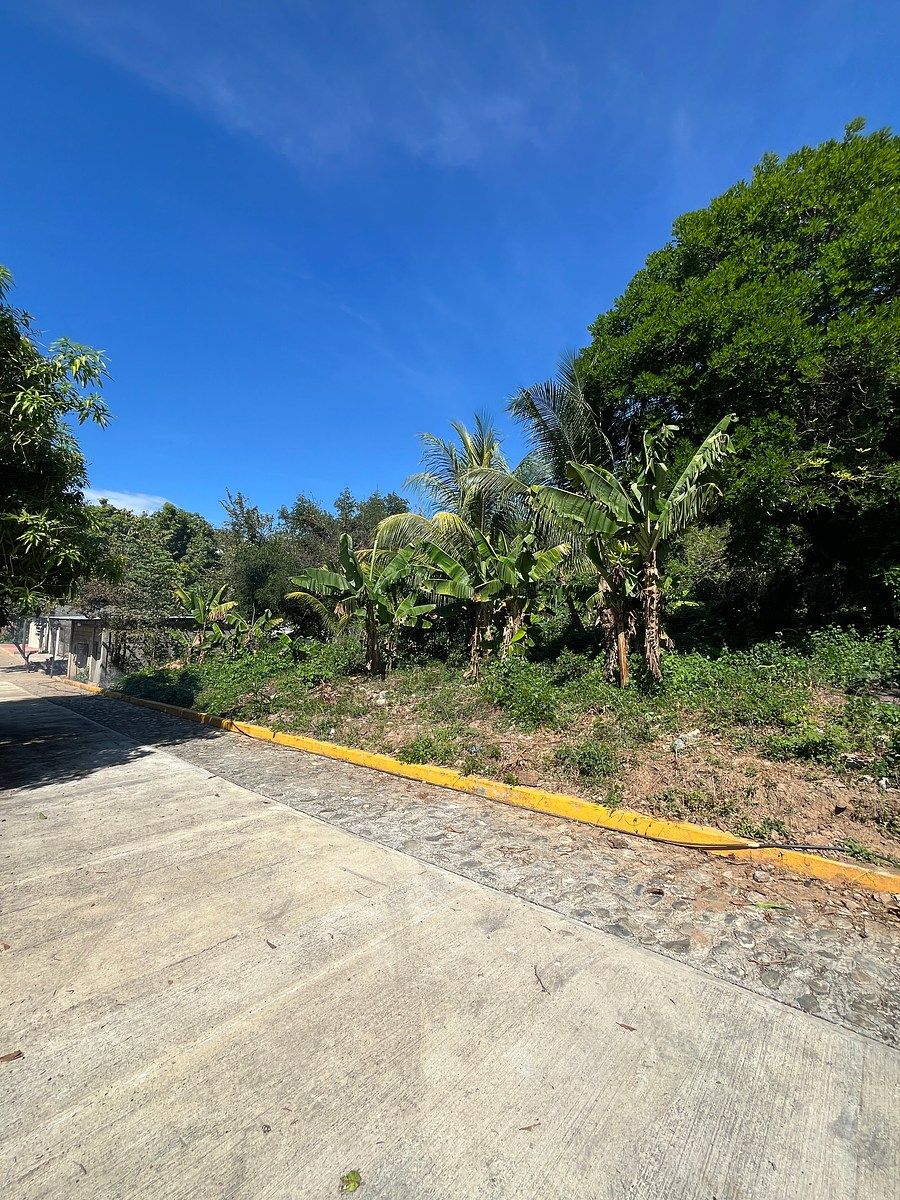 Terreno en El Cocal, Pijijiapan, foto 4 de 9