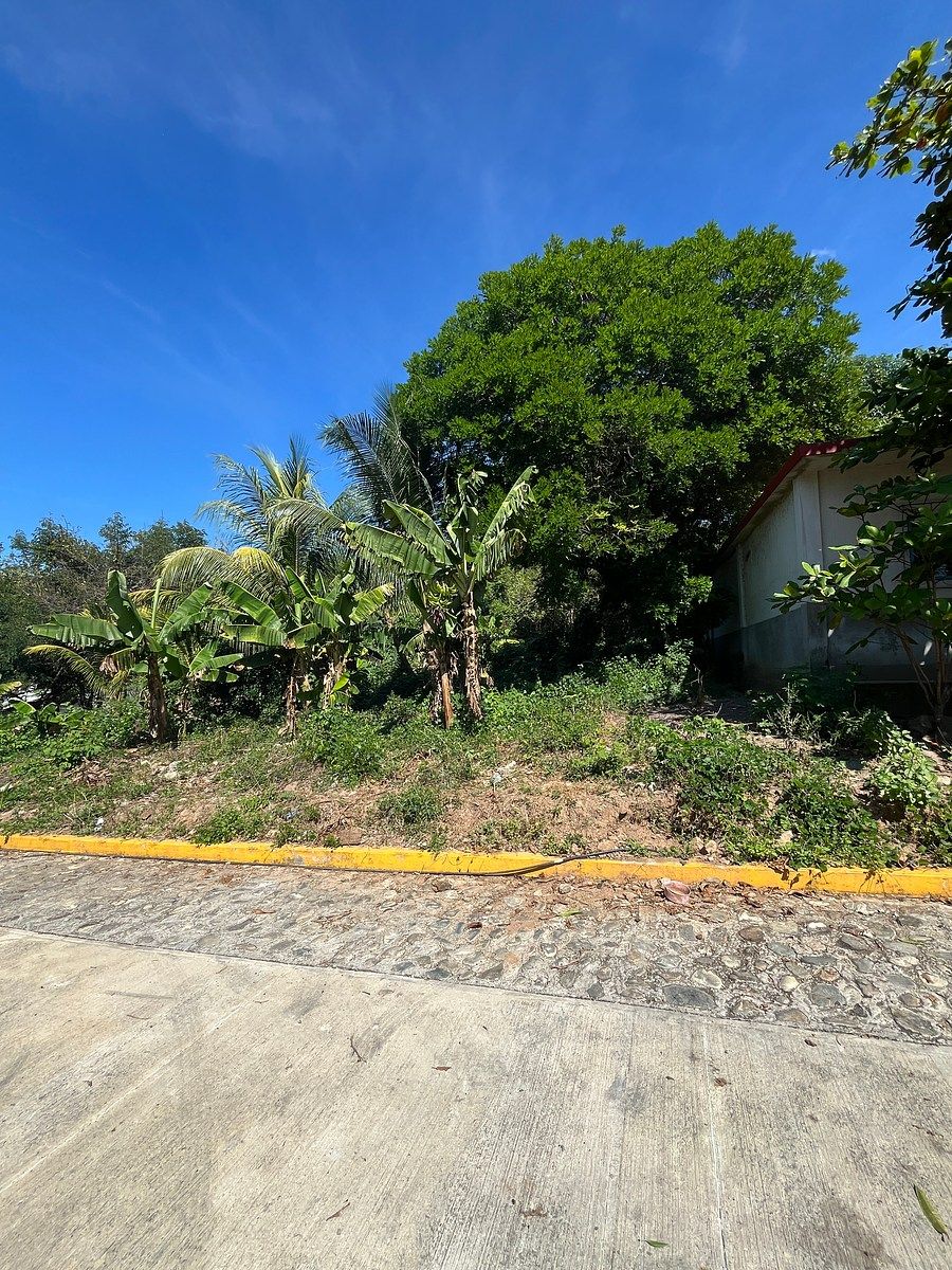 Terreno en El Cocal, Pijijiapan, foto 5 de 9