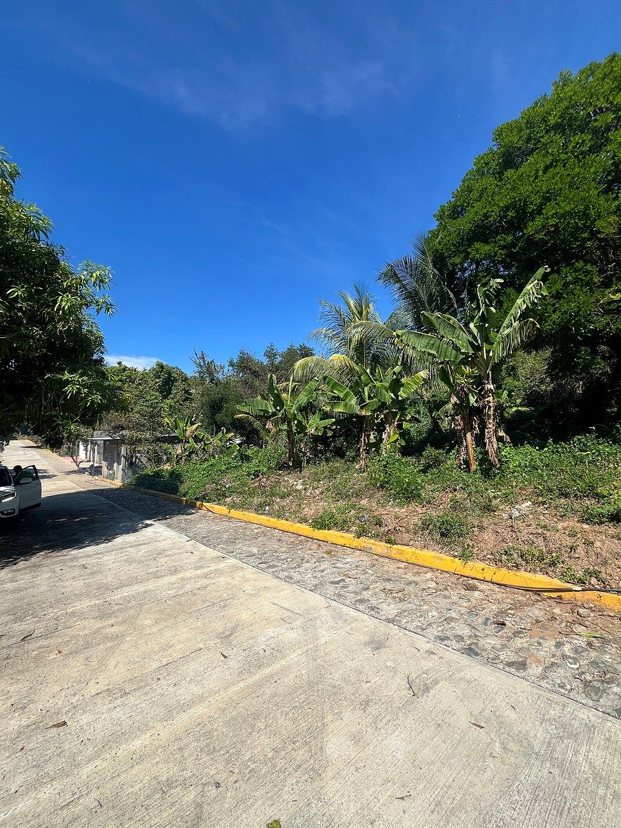 Terreno en El Cocal, Pijijiapan, foto 6 de 9