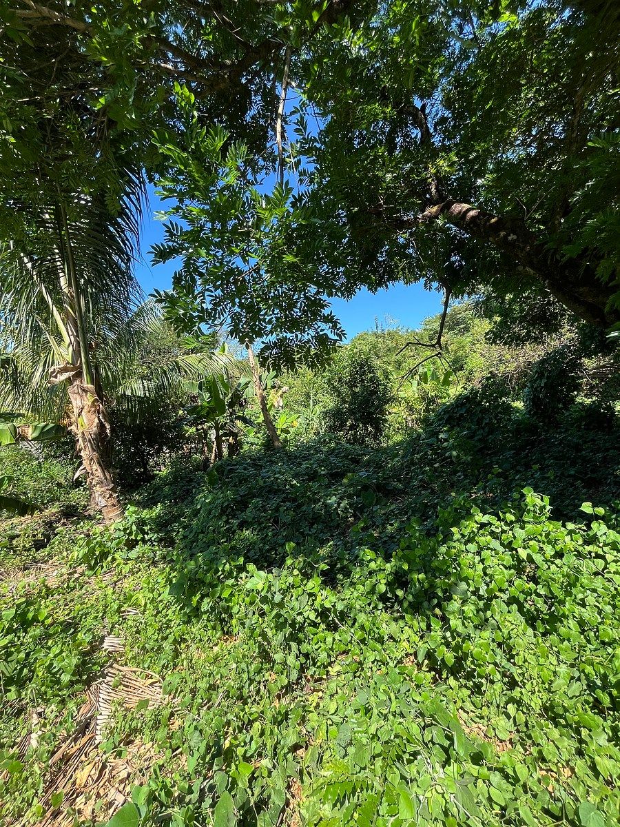 Terreno en El Cocal, Pijijiapan, foto 7 de 9