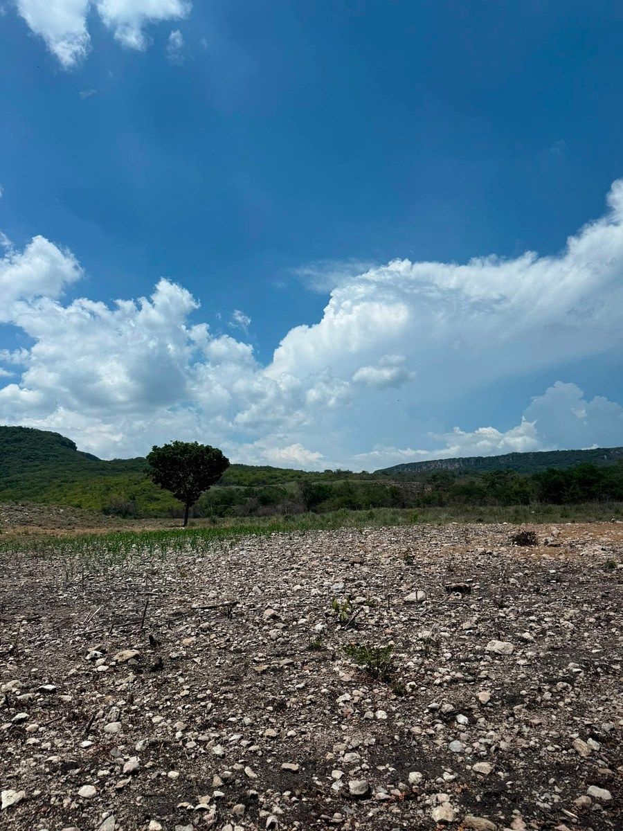 Terreno en Suchiapa, Suchiapa, foto 2 de 13
