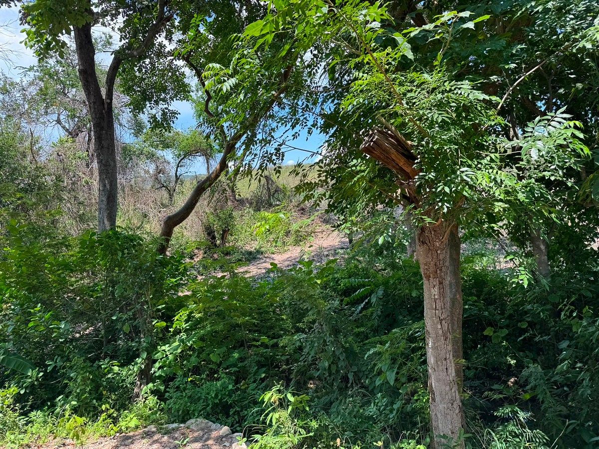 Terreno en Suchiapa, Suchiapa, foto 6 de 13