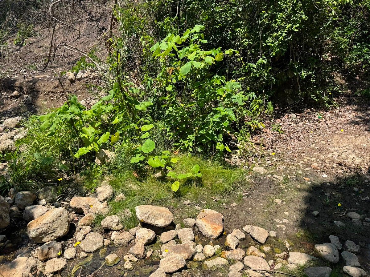 Terreno en Suchiapa, Suchiapa, foto 8 de 13