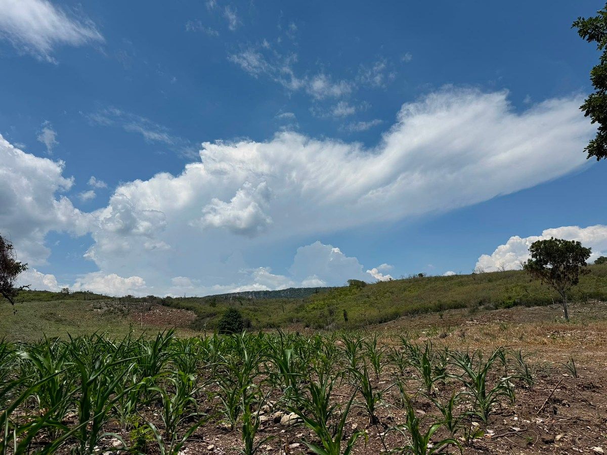Terreno en Suchiapa, Suchiapa, foto 9 de 13