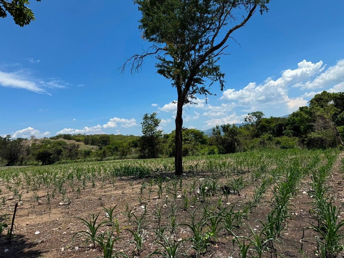 Terreno en Suchiapa, Suchiapa, foto 10 de 13