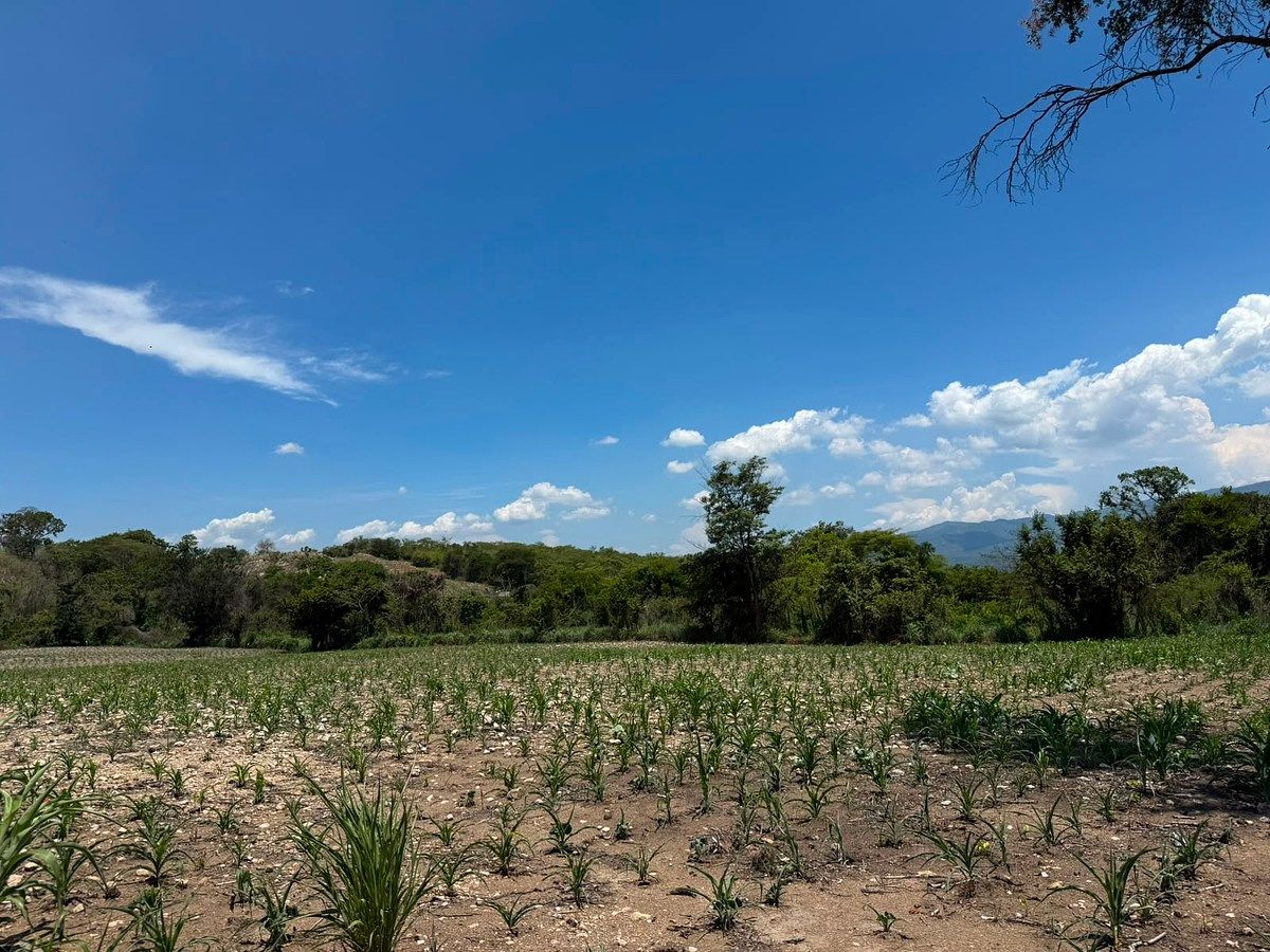 Terreno en Suchiapa, Suchiapa, foto 11 de 13