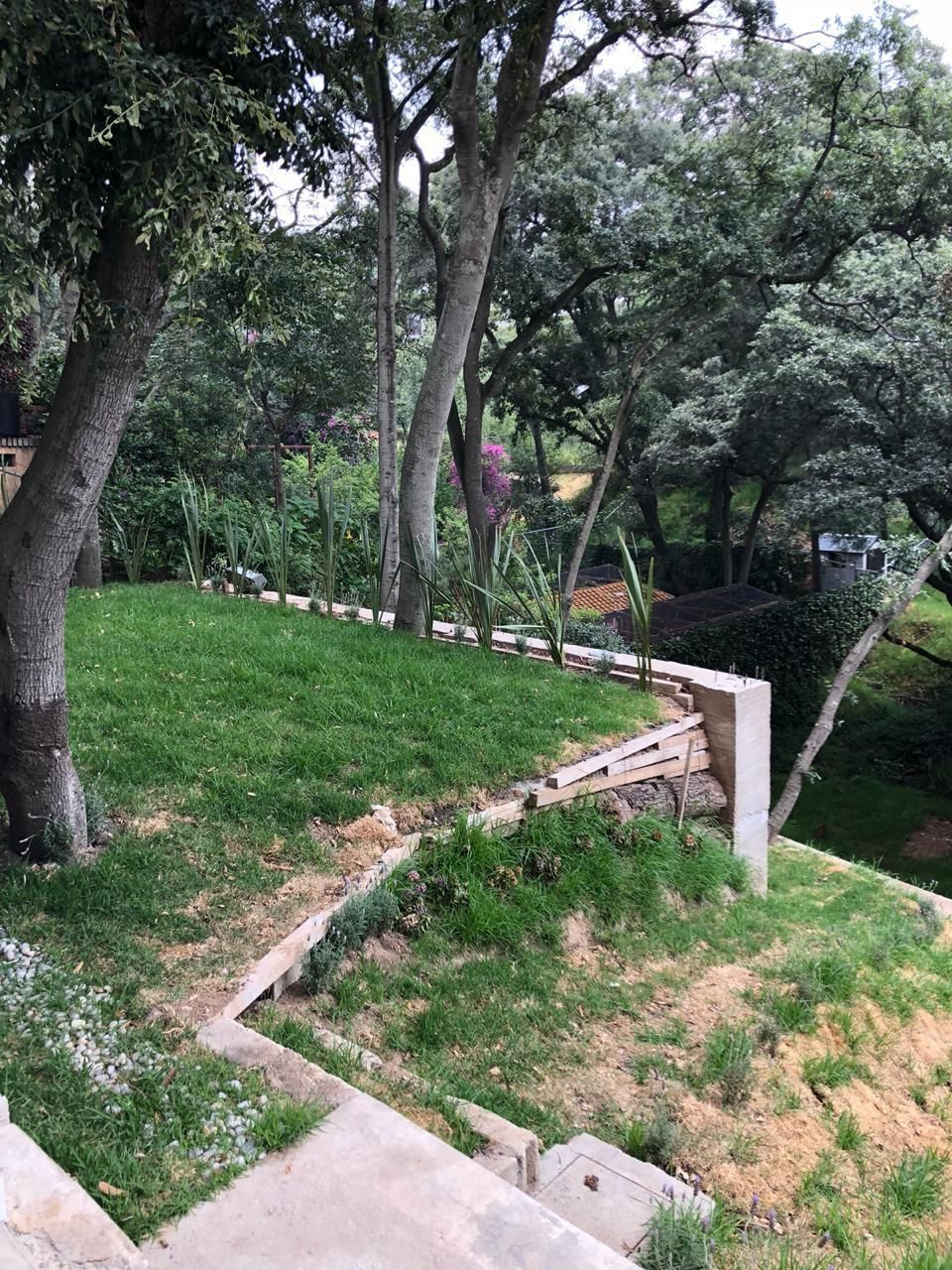 33 de 35