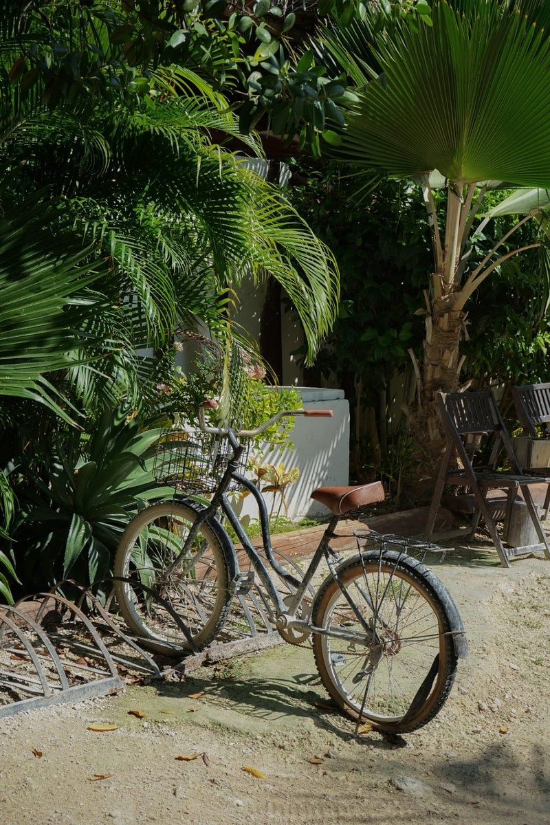 Chácara em Isla de Holbox, Lázaro Cárdenas, foto 35 de 37