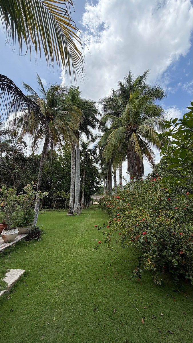 Venta de Finca / Quinta en Temozon Norte accesos directos, foto 1 de 19