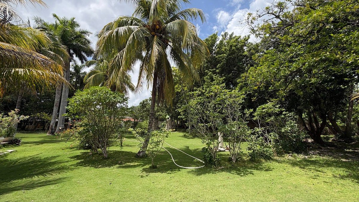 Quinta en Temozón Norte, Mérida, foto 3 de 19