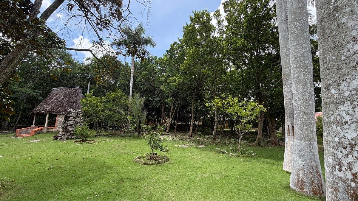 Quinta en Temozón Norte, Mérida, foto 6 de 19