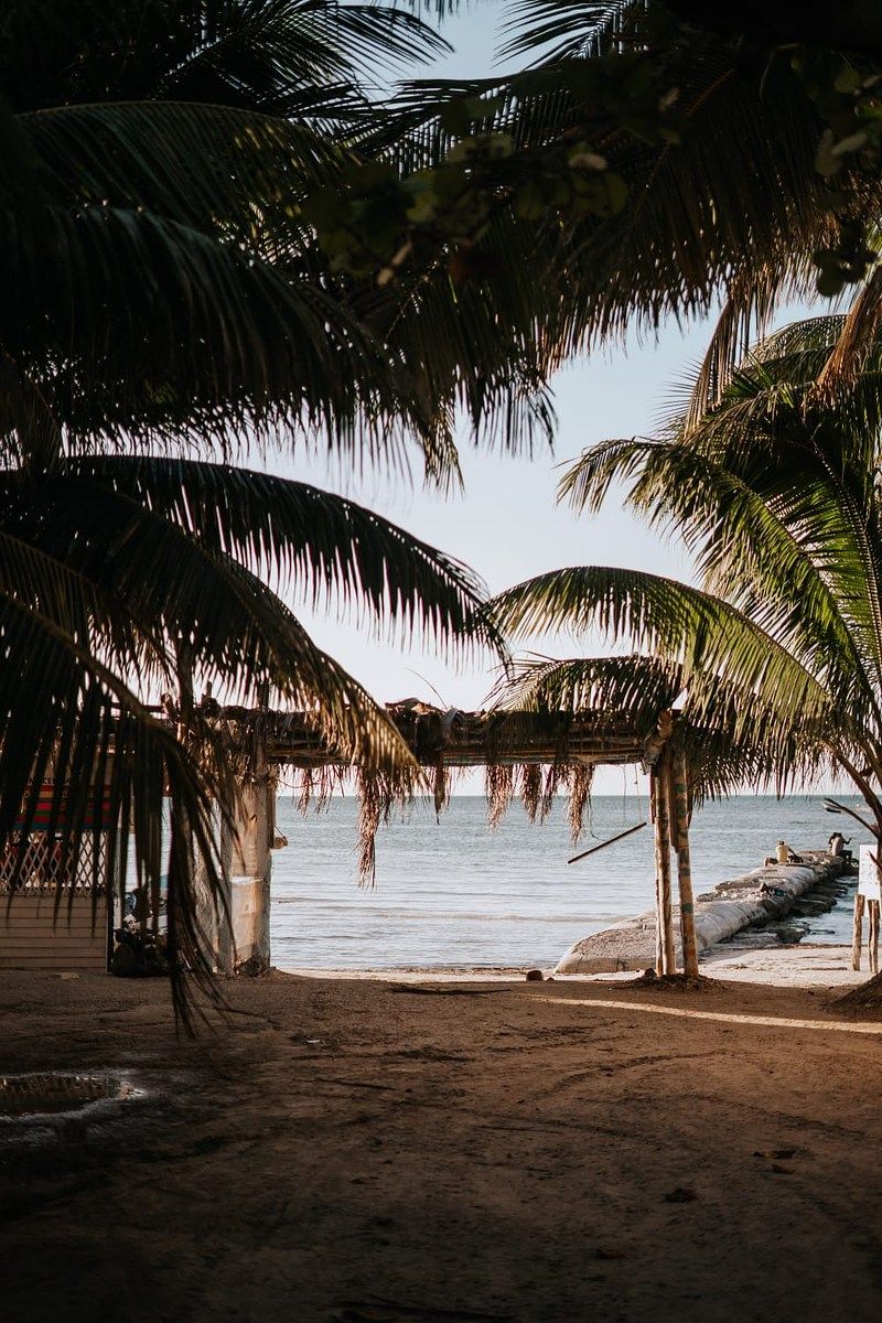 Chácara em Isla de Holbox, Lázaro Cárdenas, foto 5 de 38
