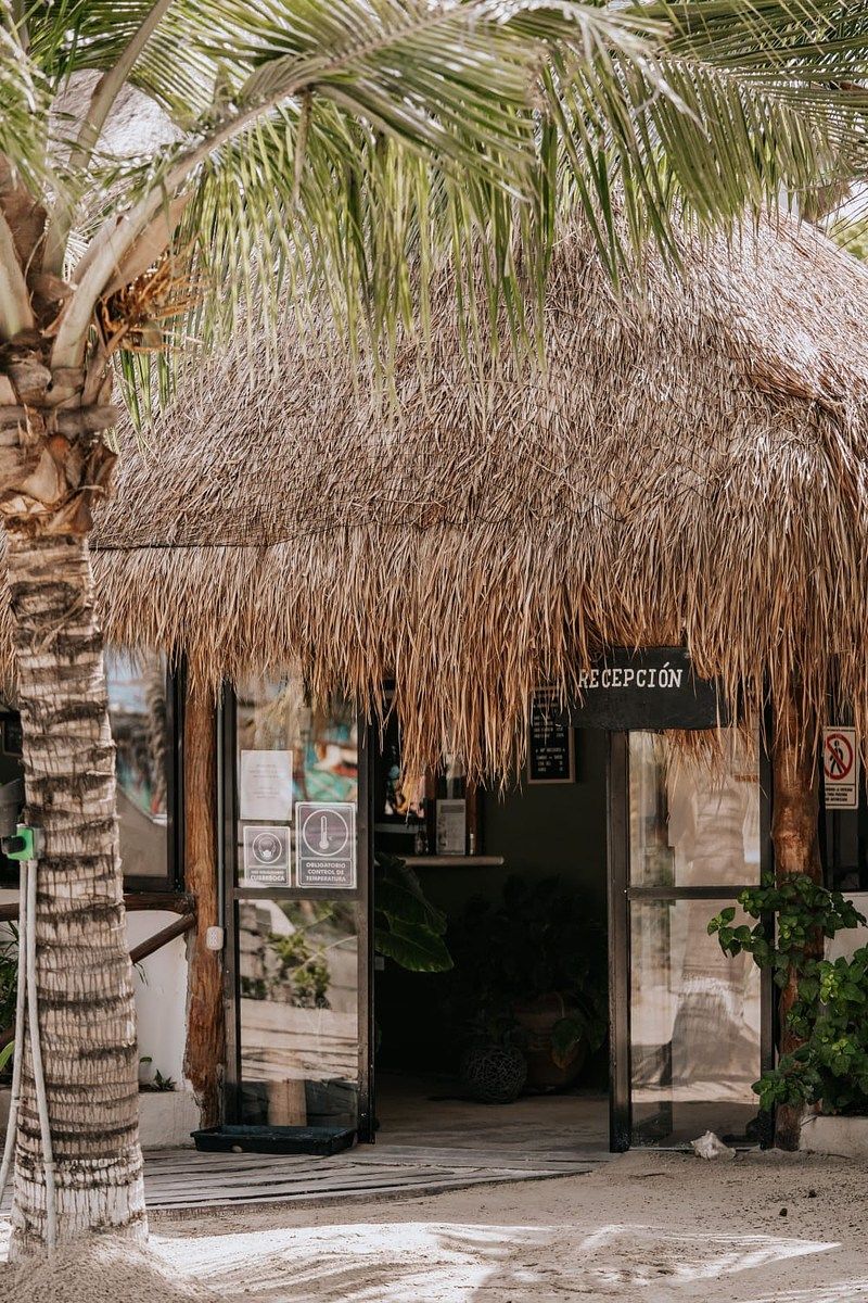 Chácara em Isla de Holbox, Lázaro Cárdenas, foto 21 de 38