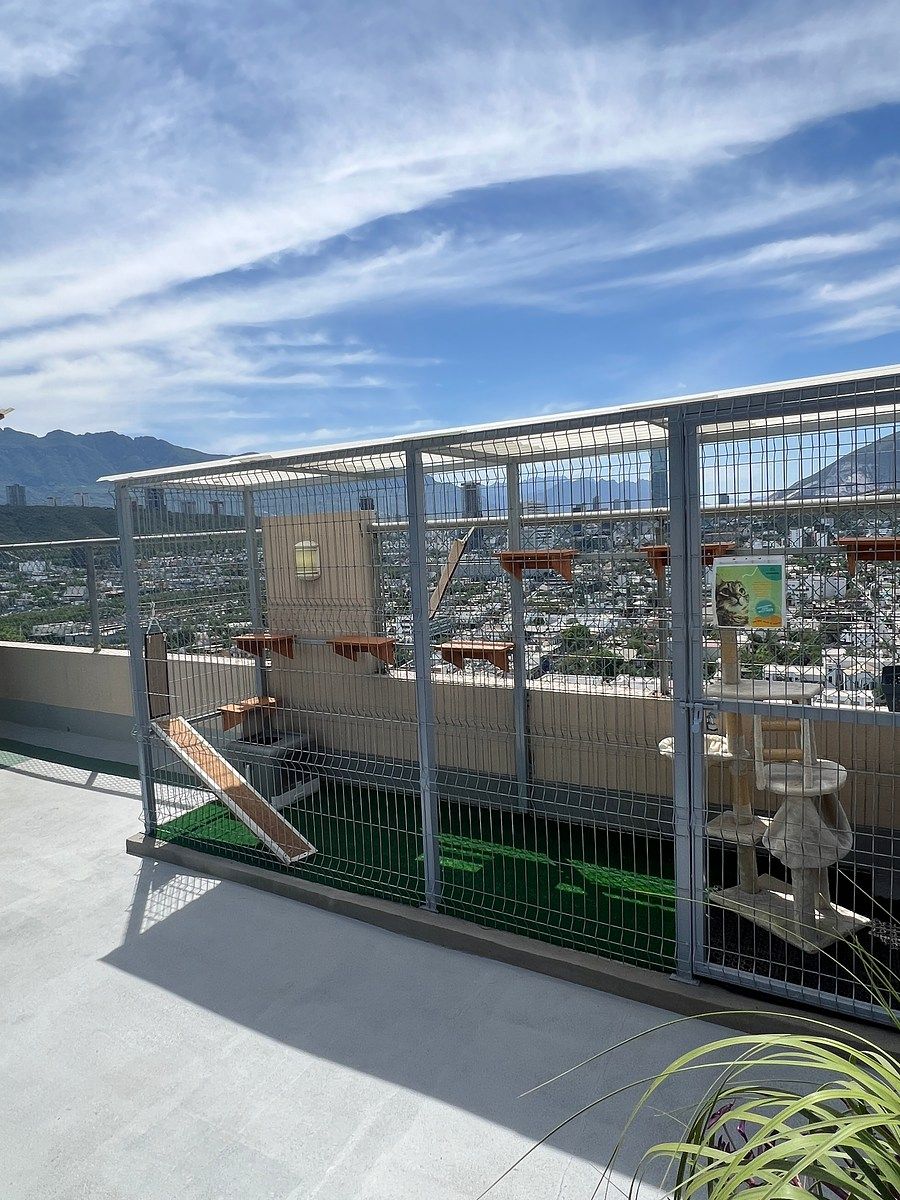 Apartamento em Centro, Monterrey, foto 15 de 22